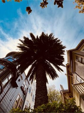 Meet your Posher, E